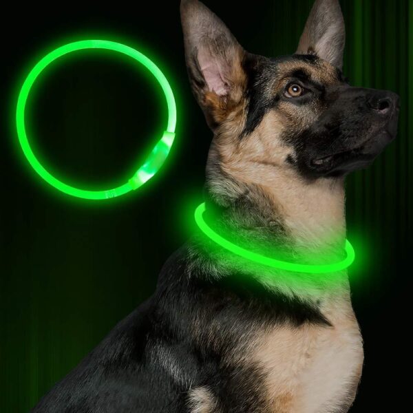 Pet Flashing Collar USB Rechargeable Glowing Necklace Safety Collar Light Up Collars For Night Walking Electric Dog Collar Neon - Image 10